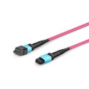 Multimode MPO-16 (Female) to MPO-16 (Female) Trunk Cable (16 Fiber, 50/125 OM4, Type B, LSZH)