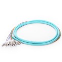 OM4 50/125 Multimode 12-Fiber Distribution Fiber Optic Pigtail